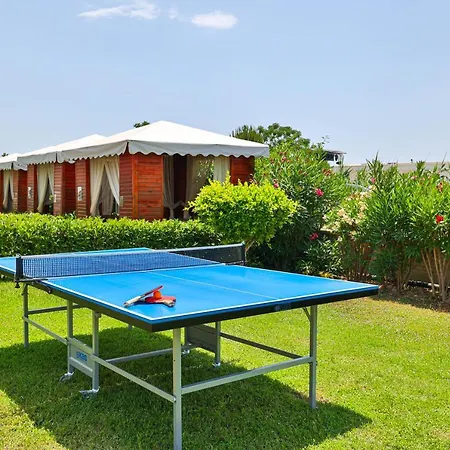 Crystal Palace Luxury & 5*